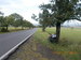 DSCN2893.JPG