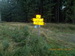 DSCN2966.JPG