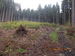 DSCN3106.JPG