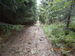 DSCN3114.JPG