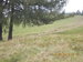 DSCN3117.JPG