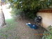 DSCN3572.JPG