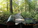 DSCN3638.JPG