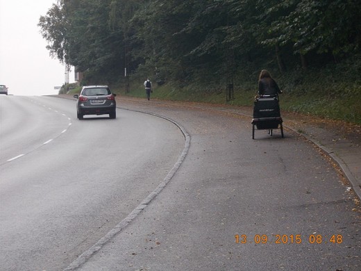 093 Vejle_do kopce.JPG