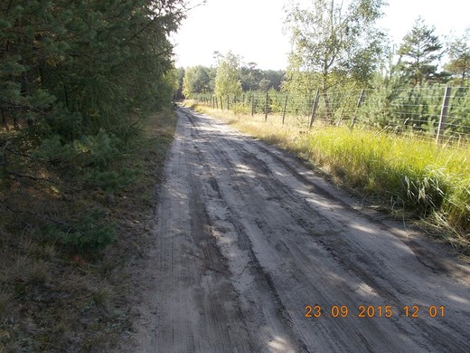 228 po písečných cestách to moc dobře nejde.JPG