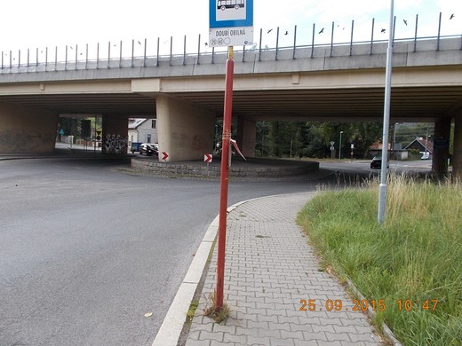 261 kruháč pod mostem (E 442).JPG